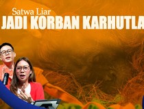 Satwa Liar Jadi Korban Karhutla