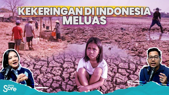 detikSore, Kamis 3 September 2026