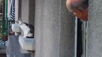 Tetangga kepo ketemu lawan sepadan. Sama-sama mengintip, sama-sama penasaran. Tinggal tunggu siapa yang menyapa duluan. Foto: Boredpanda