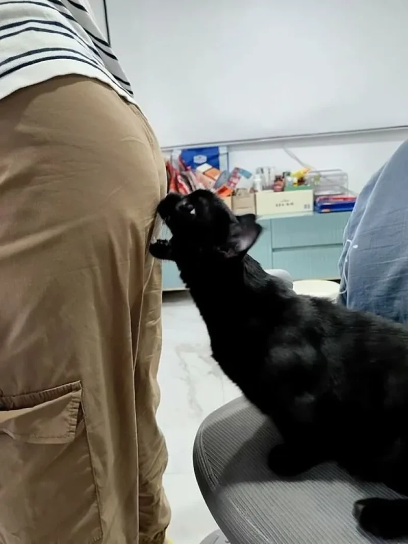 Jepretan di Waktu yang Tepat, Hasil Fotonya Bikin Ngakak