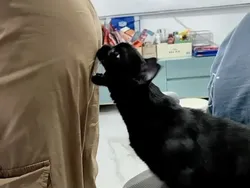 Jepretan di Waktu yang Tepat, Hasil Fotonya Bikin Ngakak