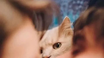 Mau mesra kok ada yang ngawasin. Si kucing di tengah tampaknya belum memberikan restu untuk adegan romantis ini. Foto: Boredpanda