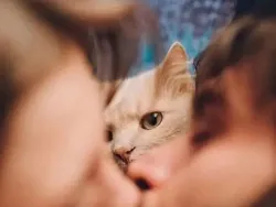 Jepretan di Waktu yang Tepat, Hasil Fotonya Bikin Ngakak