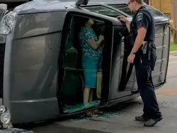 Jepretan di Waktu yang Tepat, Hasil Fotonya Bikin Ngakak