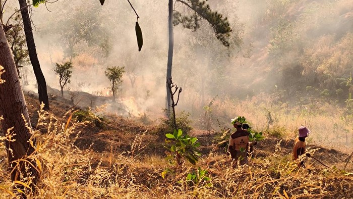 Karhutla melanda sejumlah wilayah di Kabupaten Ponorogo selama musim kemarau. Hingga 31 Agustus 2026, BPBD mencatat 54 kejadian yang berdampak pada 189,11 hektare lahan.