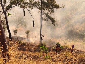 Karhutla Sebabkan Penyakit ISPA, Ini Gejala & Tips Perlindungan Diri dari Pakar UGM