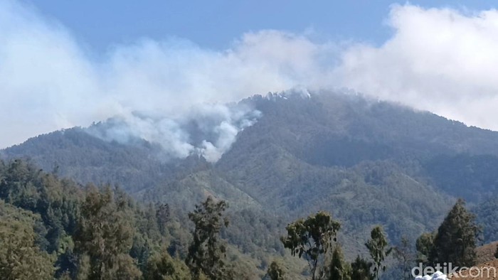 Kebakaran hutan di TNBTS Lumajang meluas hingga ke Kabupaten Malang.