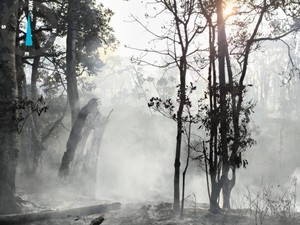 Tim Gabungan Tetap Lakukan Penyisiran Meski Kebakaran Gunung Buthak Padam