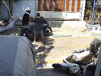 Kepergok Curi Burung Murai Batu di Gresik, Pria Sampang Diringkus