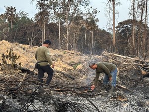 Karhutla Dekat IKN, Ada Dugaan Sengaja Dibakar