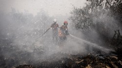 209 Hektare Titik Karhutla di Kalimantan Masih Belum Padam, Ini Kendalanya