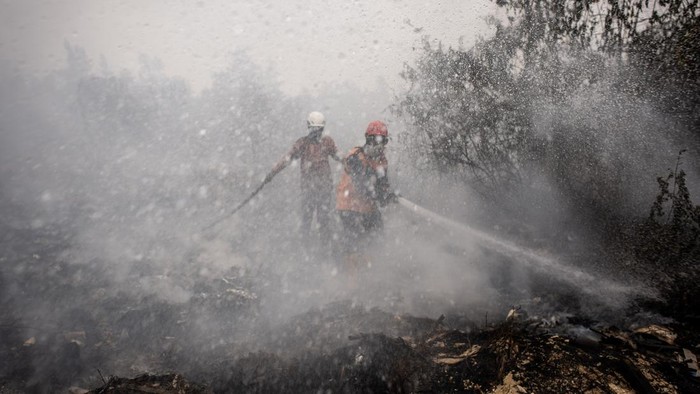 Petugas BPBD Kabupaten Banjar berupaya memadamkan kebakaran hutan dan lahan (karhutla) di lahan gambut, Kabupaten Banjar, Kalimantan Selatan, Rabu (2/9/2026). Pemerintah mengerahkan sebanyak 12.880 personel gabungan dari unsur pemerintah dan masyarak