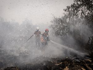 Video Kabar Baik! Pertumbuhan Awan Hujan di Kalimantan Akan Makin Banyak