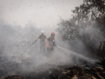 Video Kabar Baik! Pertumbuhan Awan Hujan di Kalimantan Akan Makin Banyak