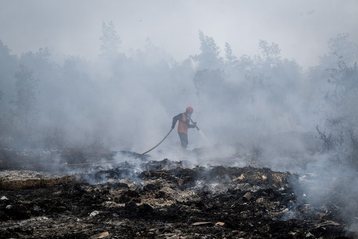Petugas BPBD Kabupaten Banjar berupaya memadamkan kebakaran hutan dan lahan (karhutla) di lahan gambut, Kabupaten Banjar, Kalimantan Selatan, Rabu (2/9/2026). Pemerintah mengerahkan sebanyak 12.880 personel gabungan dari unsur pemerintah dan masyarakat di tiga provinsi prioritas yaitu Kalimantan Barat sebanyak 1.410 personel, Kalimantan Tengah 10.700 personel dan 770 personel di Kalimantan Selatan untuk menangani karhutla di wilayah Kalimantan. ANTARA FOTO/Bayu Pratama S/nym.