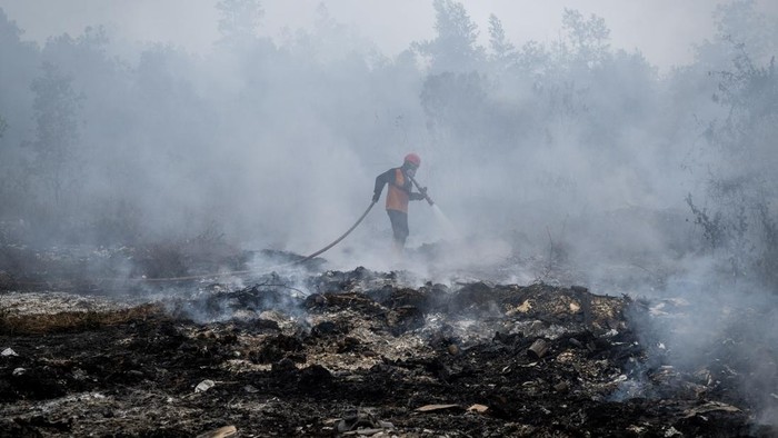 Petugas BPBD Kabupaten Banjar berupaya memadamkan kebakaran hutan dan lahan (karhutla) di lahan gambut, Kabupaten Banjar, Kalimantan Selatan, Rabu (2/9/2026). Pemerintah mengerahkan sebanyak 12.880 personel gabungan dari unsur pemerintah dan masyarak