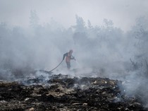 Sahroni Setuju Karhutla Jadi Terorisme Ekologi: Ini Extraordinary Crime