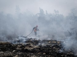 Restorasi Gambut Sudah Dilakukan, Mengapa Karhutla Masih Terjadi?