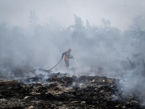 Restorasi Gambut Sudah Dilakukan, Mengapa Karhutla Masih Terjadi?