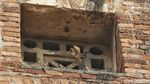 Menara Air Manggarai, Warisan Belanda 1918 yang Kini Jadi Destinasi Eduwisata