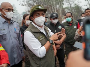 Menhut Bekukan Izin 5 Korporasi di Kalbar Imbas Karhutla