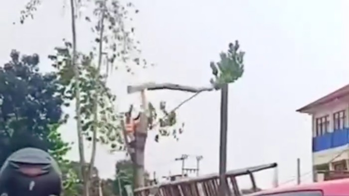 Pekerja terpental saat menebang pohon di Jembatan Serong, Cipayung, Kota Depok. Peristiwa itu membuat warga di sekitar lokasi histeris. (dok Istimewa)