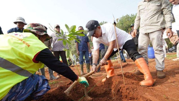 Pemprov Jabar Revitalisasi Kebun Karet Jalupang, 4.200 Pohon Telah Ditanam
