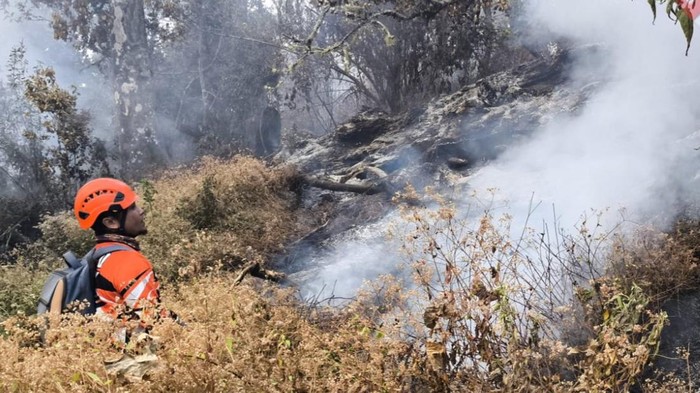 Petugas yang tengah berada di lokasi kebakaran Gunung Buthak
