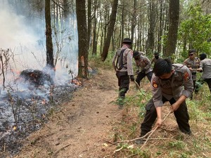 Bakar Hutan untuk Buka Lahan Baru, Petani di Ngawi Diamankan Polisi