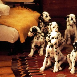 7 Film Live-Action Terbaik dari Disney
