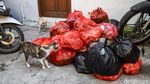 Warga Kalibaru Pilah Sampah dari Rumah, Kurangi Beban Bantargebang
