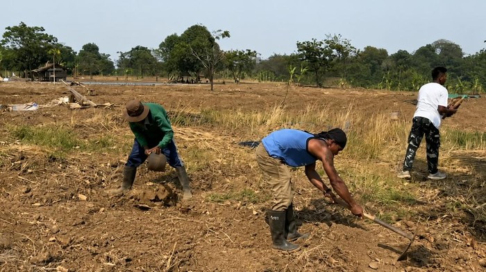 10 warga binaan atau narapidana (napi) Lapas Kelas IIA Karawang, Jawa Barat, bersama prajurit TNI dari Kodim 0604/Karawang menggarap lahan yang merupakan aset milik Kodim. Lahan tersebut digarap untuk ditanami jagung.