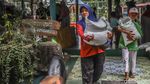 33,2 Juta Keluarga Jadi Sasaran Bantuan Beras 30 Kg