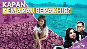 Video: BMKG Buka-bukaan Soal Prediksi Turun Hujan di Indonesia