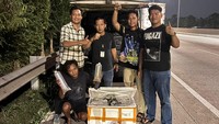 Polda Metro Sergap Pikap Mencurigakan Angkut 150 Ribu Benih Bening Lobster