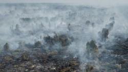 Pakar Ungkap Bahaya Kebakaran di Lahan Gambut Kering