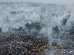 Mengapa Karhutla Terus Berulang? Pakar ITB Ungkap Bahaya Gambut Kering