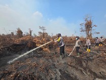 Polda Riau Tangkap 55 Tersangka Kasus Karhutla Sepanjang 2026