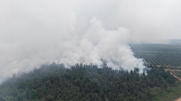 Karhutla di Kebun Raya Sriwijaya, Sumsel