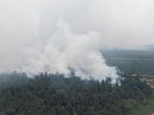 Luas Kebun Raya Sriwijaya yang Terbakar Capai 30 Hektare