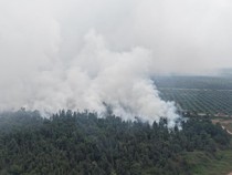 Luas Kebun Raya Sriwijaya yang Terbakar Capai 30 Hektare