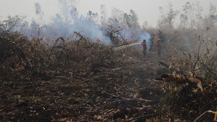 Karhutla di lahan gambut Tanjabtim Jambi