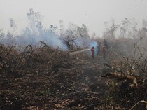 Walhi Soroti soal Tersangka Karhutla Jambi: Garang ke Petani-Minim ke Korporasi