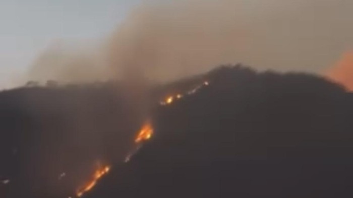 Kebakaran hutan di area Merapi Ungup-ungup Ijen, Banyuwangi