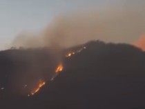 Cagar Alam Merapi Ungup-ungup Ijen Kebakaran