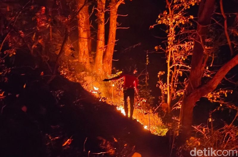 Kebakaran di Bondowoso Kebakaran hutan dan lahan terjadi di kawasan TWA Kawah Ijen, Jumat (4/9/2026). Api dilaporkan mendekati jalur pendakian di kawasan Pondok Bunder.