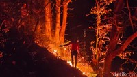 Kawasan Kawah Ijen Banyuwangi Terbakar Hebat, Ditutup buat Pengunjung