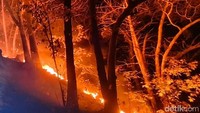 Mengenai luasan area yang terdampak serta jumlah personil yang dikerahkan, pihak BKSDA belum dapat memberikan rincian pasti.