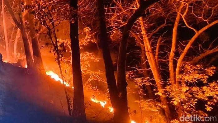 Kebakaran hutan dan lahan terjadi di kawasan TWA Kawah Ijen, Jumat (4/9/2026). Api dilaporkan mendekati jalur pendakian di kawasan Pondok Bunder.