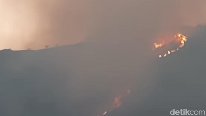 Kebakaran Hutan di Gunung Ijen